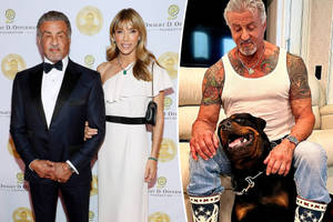 Sylvester Stallone Playing With Dog Wallpaper