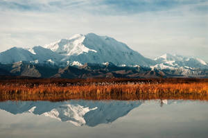 Symmetrical Denali Reflection Wallpaper