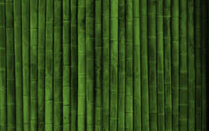 Take A Break With Nature-inspired Bamboo Desktop Wallpaper