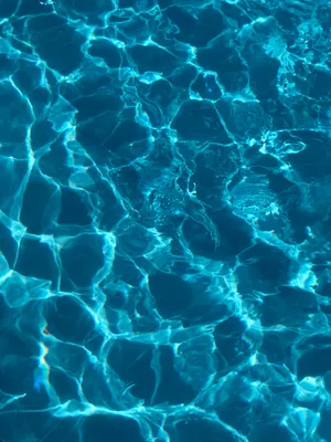 Take A Dive Into The Glistening Ocean Wallpaper