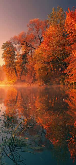 Take A Leisurely Stroll Through The Stunning Landscape Of This 4k Fall Foliage. Wallpaper