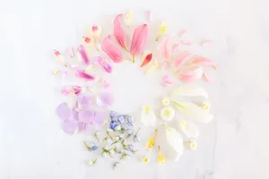 Take A Stroll Through The Charming Pastel Summer Wallpaper