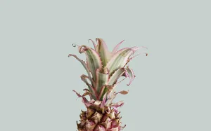 Take A Vacation In Paradise Wallpaper