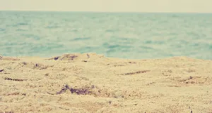 Take A Walk Down Memory Lane Wallpaper