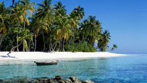 Take A Walk In Paradise. Wallpaper