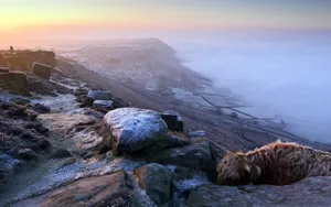 Take In The Beauty Of Rocky Mountain Wallpaper