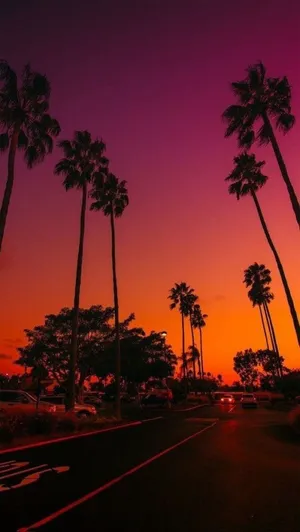 Take In The View At Sunset Beach With Your Trusty Iphone Wallpaper