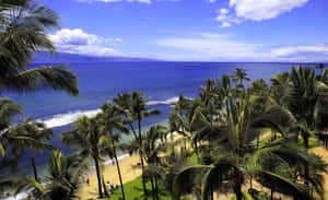 Take In The View Of Aesthetic Hawaii Wallpaper