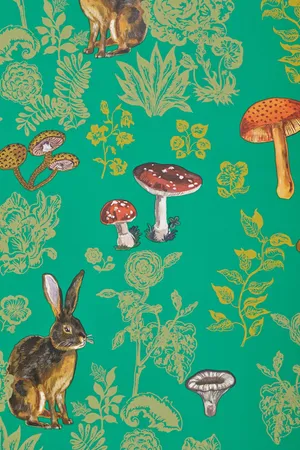 Take Your Digital Life To A Brighter Level With Our Fun, Awesome Mushroom Phone! Wallpaper