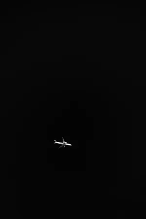 Taking To The Skies Wallpaper