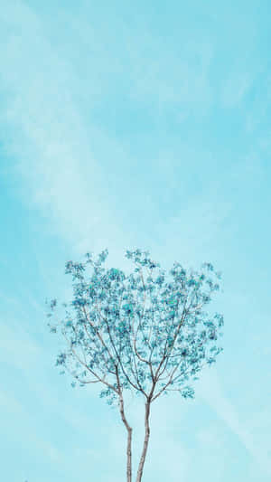 Tall Tree Pastel Blue Solid Wallpaper
