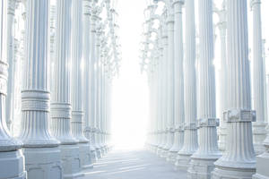 Tall White Pillars Wallpaper