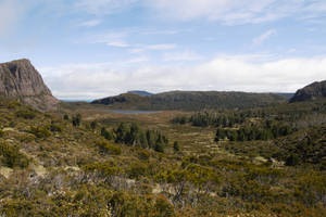 Tasmania Dry Forests Wallpaper