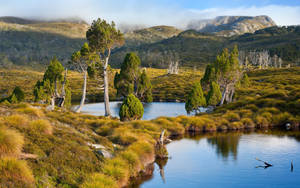 Tasmania Two Ponds Wallpaper