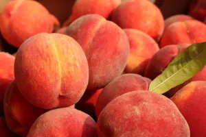 Tasteful Peach Aesthetic Laptop Workspace Wallpaper
