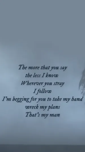 Taylor Swift Lyrics From Willow Wallpaper