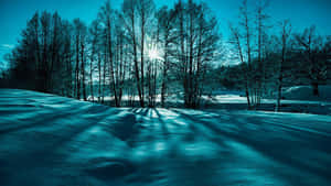 Teal Effect Winter Scenery Desktop Wallpaper