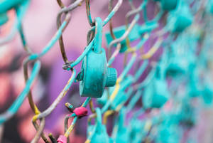 Teal Padlock On Fence Wallpaper