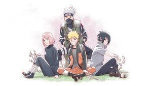 Team 7 Sitting On The Grass Wallpaper