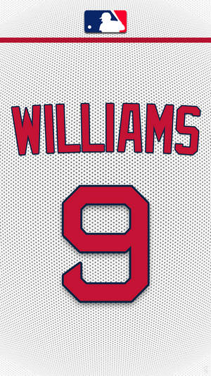 Ted Williams Official Jersey Wallpaper