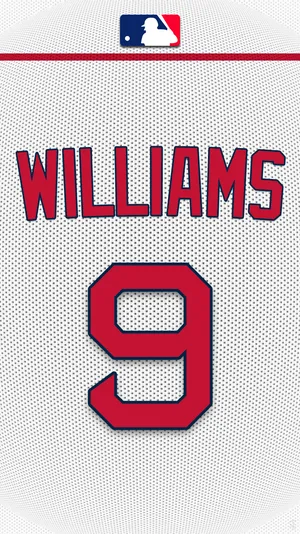 Ted Williams Official Jersey Wallpaper