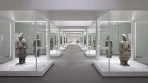 Terracotta Warriors Museum Sculpture Display Wallpaper