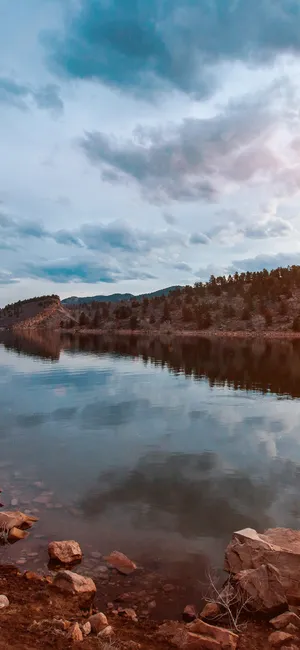 Texas Iphone Nature Forest Lake Wallpaper