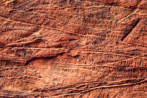 Textured Brown Stone Wallpaper