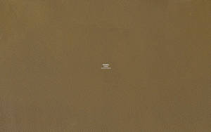 Textured Dark Tan Hermes Wallpaper