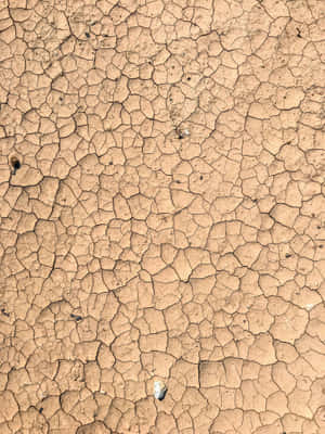 Textured Landscape Of Dry And Cracked Mud Wallpaper