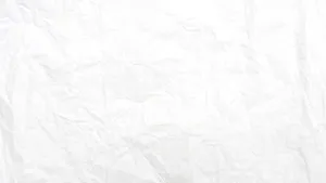 Textured White Paper Wallpaper