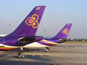 Thai Airways Airplane Tail Wallpaper