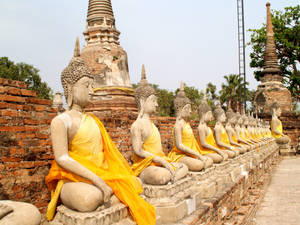 Thailand Ayutthaya Park Wallpaper