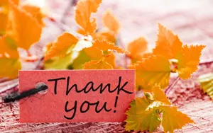 Thank You In Pink Tag Wallpaper