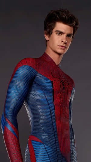 The Amazing Spider - Man - Hd Wallpaper Wallpaper