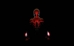 The Amazing Spider Man Wallpaper