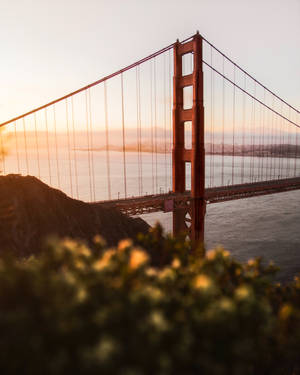 The Android Golden Gate Bridge - Tour San Francisco With Your Android Device Wallpaper