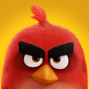 The Angry Birds Movie 2 Menacing Look Wallpaper