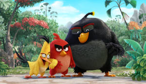 The Angry Birds Movie Birds In The Forest Wallpaper