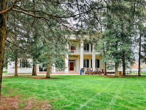 The Astonishing Hermitage Mansion Wallpaper