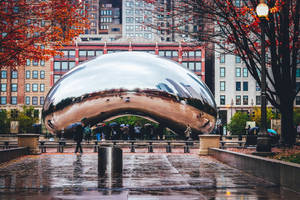 The Bean Chicago Autumn Leaves Wallpaper