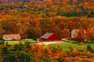 The Beauty Of A New England Autumn Wallpaper