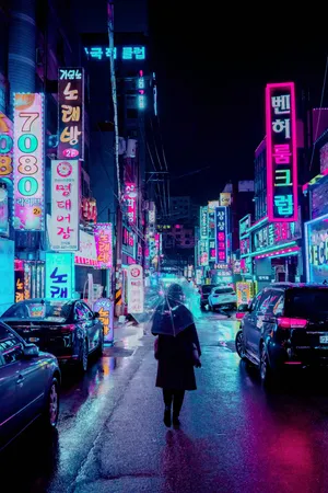 The Beauty Of Japanese Neon At Night Wallpaper