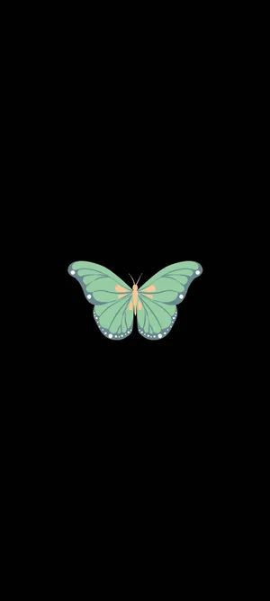 The Beauty Of Nature - A Delicate Green Butterfly Wallpaper
