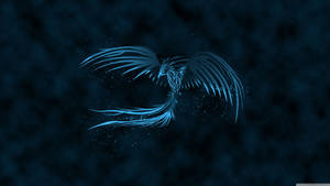 The Blue Phoenix Of Phoenix Wallpaper