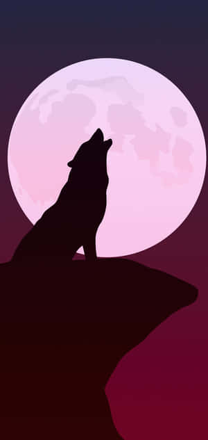“the Bold And Majestic Pink Wolf” Wallpaper