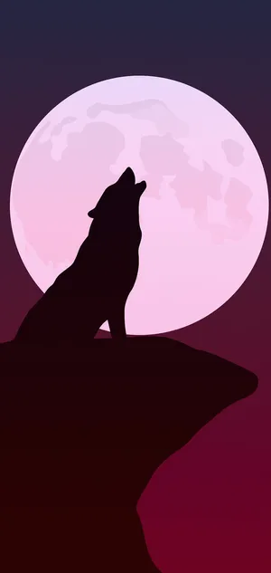 “the Bold And Majestic Pink Wolf” Wallpaper