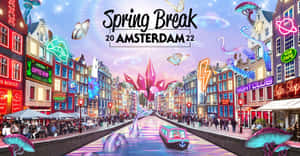 The Cobblestone Streets Of Amsterdam In Spring Wallpaper