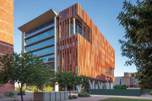 The Emblematic Detail Of The University Of Arizona Stripes Wallpaper