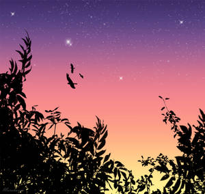 The Epic, Magical Beauty Of Bird Silhouettes At Sunset Wallpaper